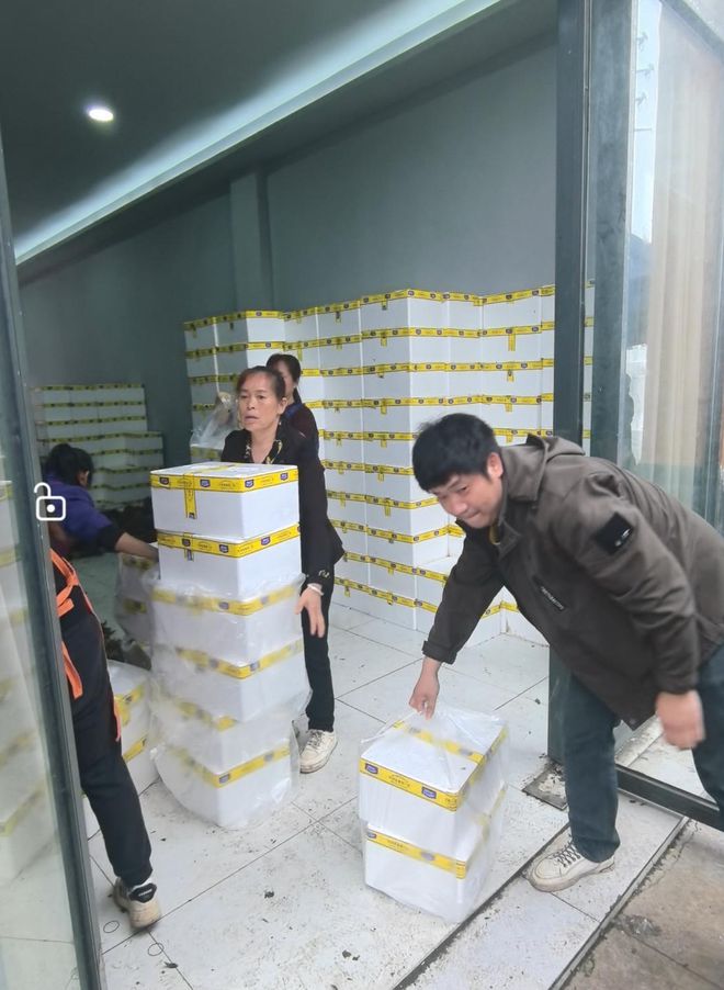 公斤最贵时380元上市一个多月后收购价最低2元冰球突破技巧中国香椿第一县的“香椿自由”：每(图3)