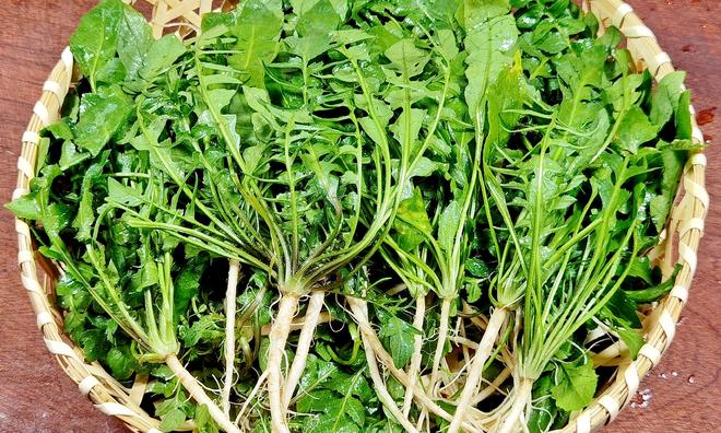 、二明目、三解毒鲜嫩营养包饺子真香冰球突破豪华版冬天使劲吃这菜一护肝(图7) 、二明目、三解毒鲜嫩营养包饺子真香冰球突破豪华版冬天使劲吃这菜一护肝(图7)